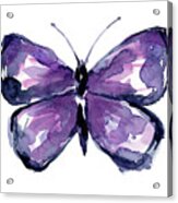 Purple Butterfly Watercolor Acrylic Print