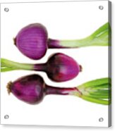 Purple Onions Acrylic Print