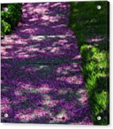 Purple Path Acrylic Print