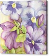 Purple Summer Pansies Acrylic Print