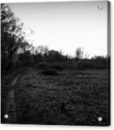 Quiet Morning On The Preserve Trail - Black And White Acrylic Print