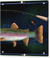 Rainbow Trout And Fly Rod Acrylic Print