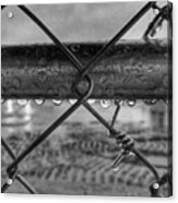 Raindrops On Fence In Black And White Acrylic Print
