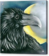 Raven And Crescent Moon Acrylic Print