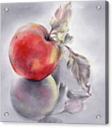Red Apple And Its Reflection, Hand Painted Watercolor Acrylic Print