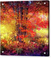 Red Autumn Leaves A Acrylic Print