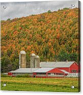 Red Barns In Autumn Acrylic Print