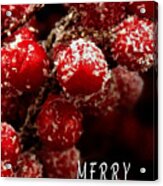 Red Berries Covered In Snow Christmas Card Acrylic Print