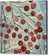 Red Berries In Snow Acrylic Print