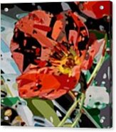 Red Poppy Cubistic Acrylic Print