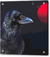 Red Moon Raven Acrylic Print