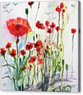 Red Poppies Simple Whimsical Watercolor Acrylic Print