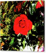 Red Rose In Bouquet Of Flowers Acrylic Print