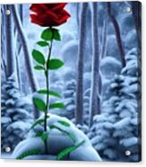 Red Rose In The Snow Acrylic Print