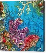 Red Snapper Acrylic Print