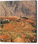 Red Soil Farmlands In Dongchuan District Acrylic Print