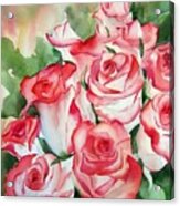 Red Tipped Roses Acrylic Print