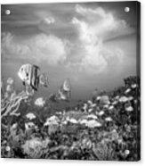Reef Under The Sea And Sky Black And White Acrylic Print