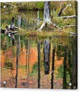 Reflection In A Beaver Pond #5039 Acrylic Print