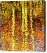 Reflection Of Fall Trees Acrylic Print