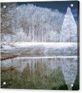 Reflections In Faux Color Infrared Acrylic Print