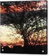 Reflections On A Sunset Acrylic Print