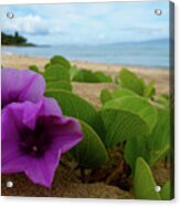 Relaxing Flowers In The Sand Acrylic Print