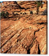 Remote Sandstone Formations Paria Canyon Utah Acrylic Print