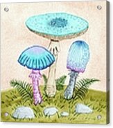 Retro Mushrooms 2 Acrylic Print