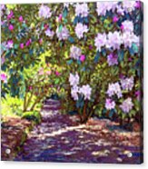 Rhododendron Garden Acrylic Print