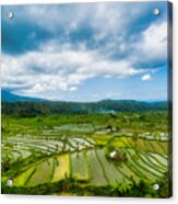 Rice Paddy Heaven In The Karangasem Regency Of Bali, Indonesia Acrylic Print