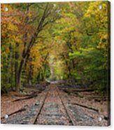 Ride Into The Colors Of Fall Acrylic Print