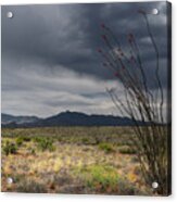 Rincon Mountains Storm Clouds And Ocotillo, Tucson Az Acrylic Print
