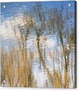 Mill Creek Reflections Acrylic Print