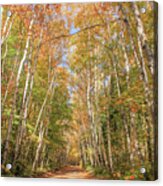 Road To The Trailhead Acrylic Print