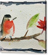Robin On A Maple Branch Acrylic Print