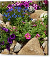 Rock Garden With Colorful Flowers 2 Acrylic Print