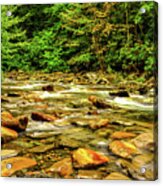 Rocky Stream In The Smokies 003 Acrylic Print