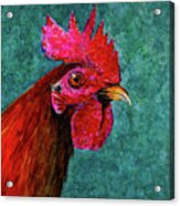 Rooster Acrylic Print