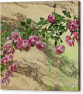 Roses Branching Out Acrylic Print