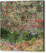 Rowan Tree, Bilberries And Heather Acrylic Print