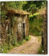 Ruins On The Path Acrylic Print