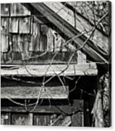 Rustic Old Shed - Gould City, Michigan Usa - Acrylic Print