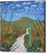 Sabino Canyon Trail Acrylic Print