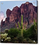 Saguaro Cactus And The Superstition Mountains Acrylic Print