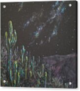 Saguaro Hill At Night Acrylic Print
