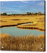 Salt Marsh Photograph Acrylic Print