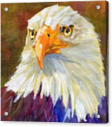 Sammy - Bald Eagle Painting Acrylic Print