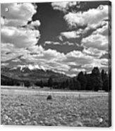 San Francisco Peaks In Black And White, Northern Arizona Acrylic Print