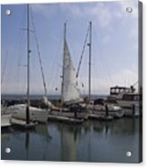 San Francisco Sail Boats Acrylic Print
